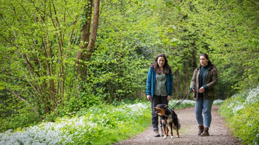 2 walkers and a dog in the estate with wild garlic at Newark Park, Gloucestershire